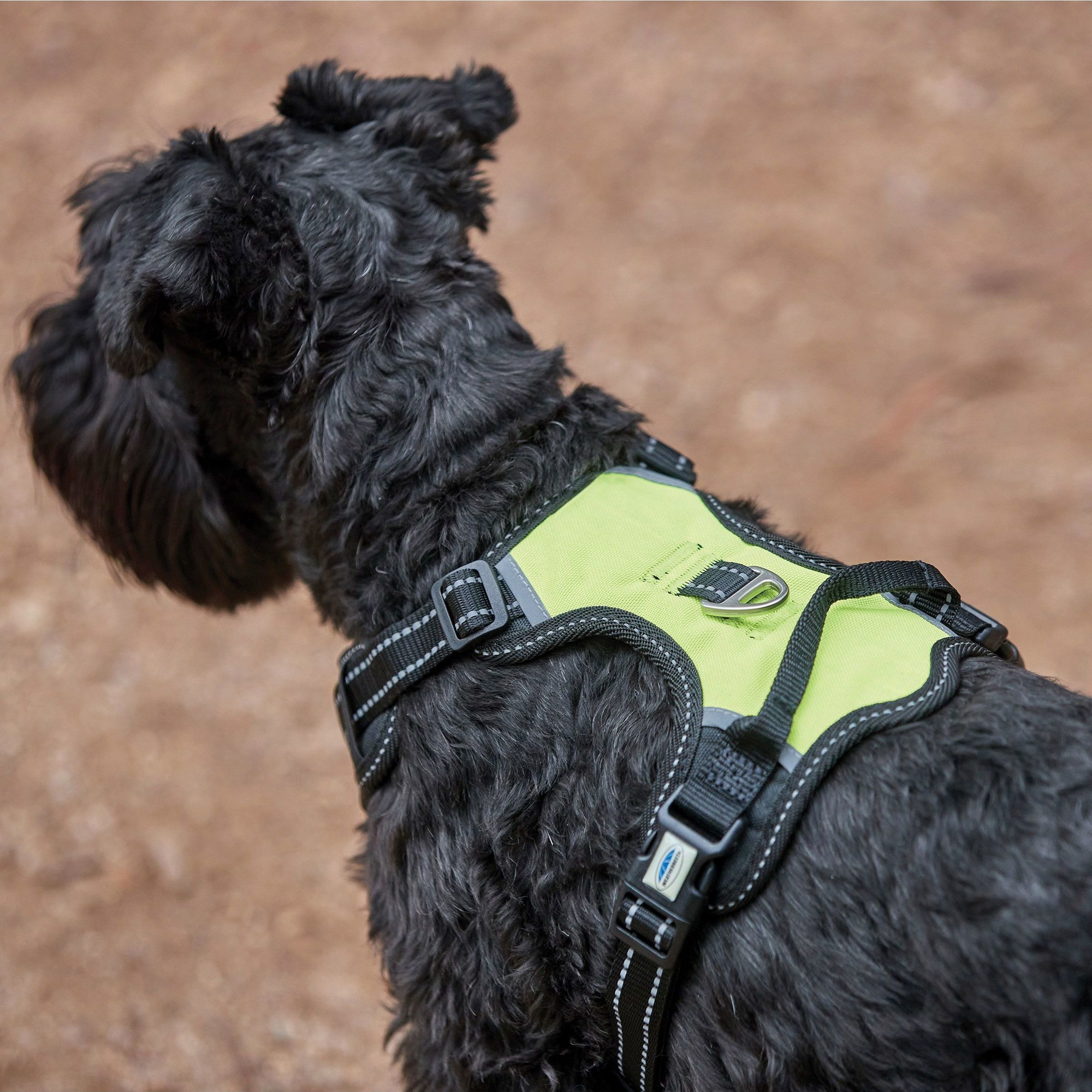 Weatherbeeta Anti Pull / Traveling Harness 1003617 - Yellow